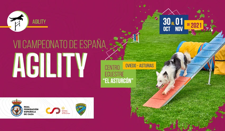 El VII Campeonato de España de Agility se celebrará en Oviedo