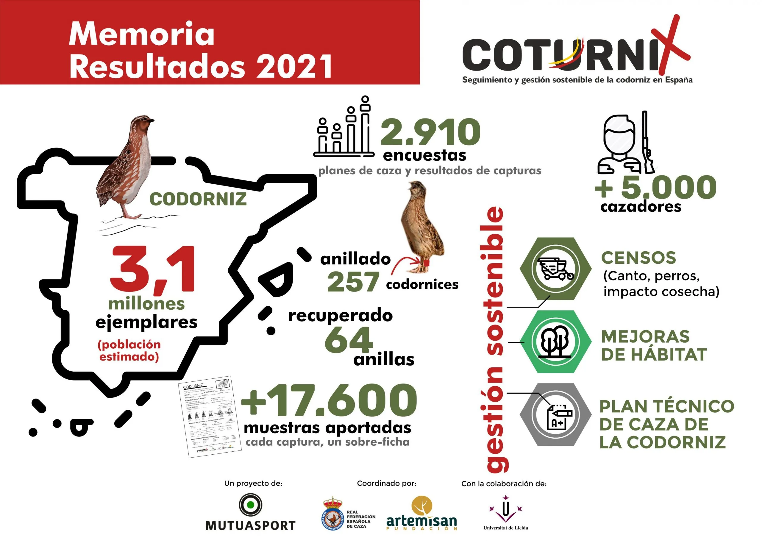Coturnix Memoria 2021