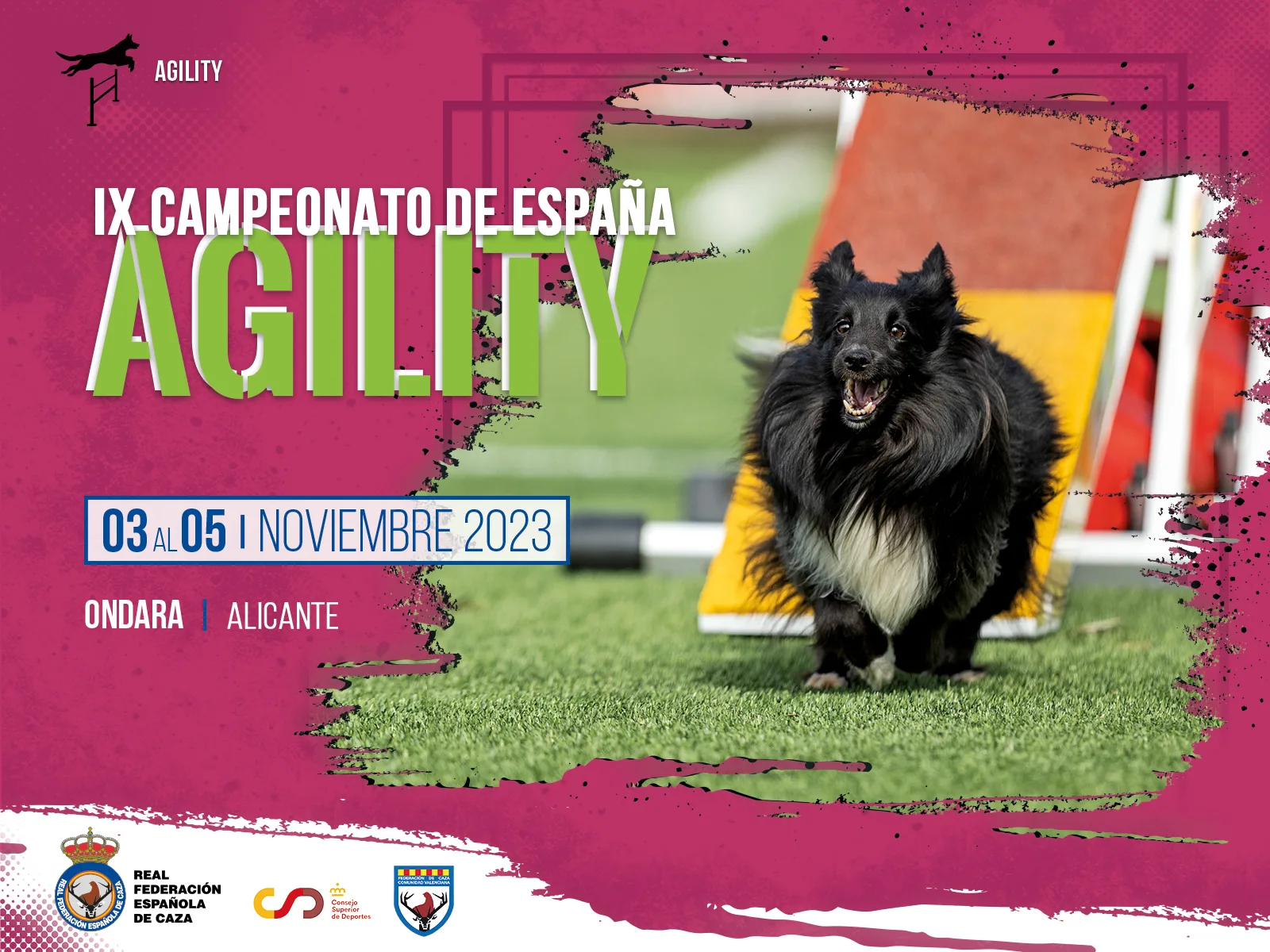 El IX Campeonato de España de Agility se disputará en la localidad alicantina de Ondara