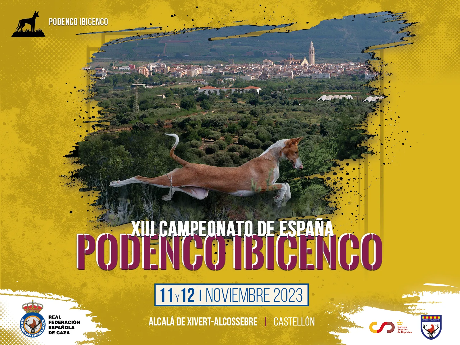 El XIII Campeonato de España de Podenco Ibicenco viaja hasta Castellón los días 11 y 12 de noviembre