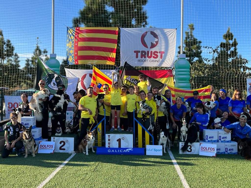 Cerca de 550 perros participan en el IX Campeonato de España de Agility en Ondara
