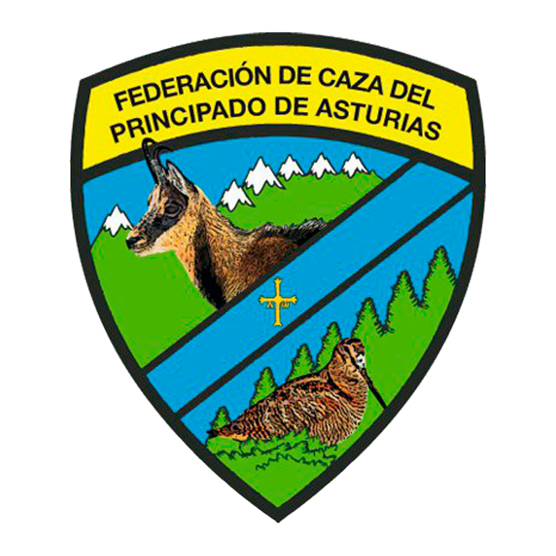 RFEC - Federacion Asturiana