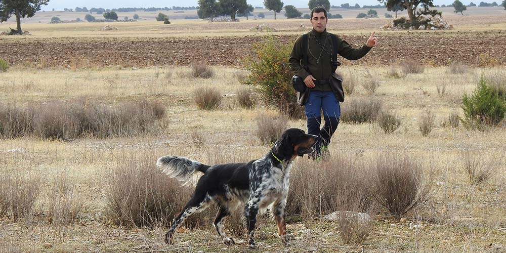Banner Instructor-Adiestrador de perros de caza