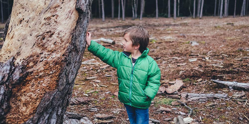 Banner Iniciación a la caza