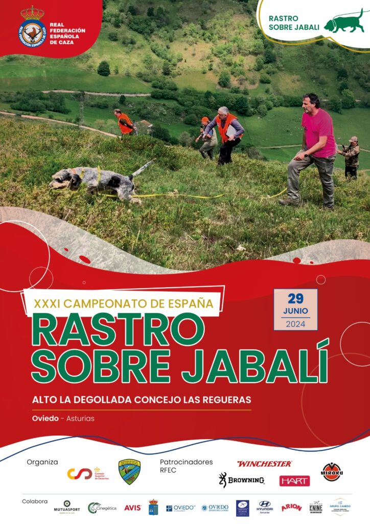 Cartel XXXI Campeonato de España de Rastro sobre Jabalí
