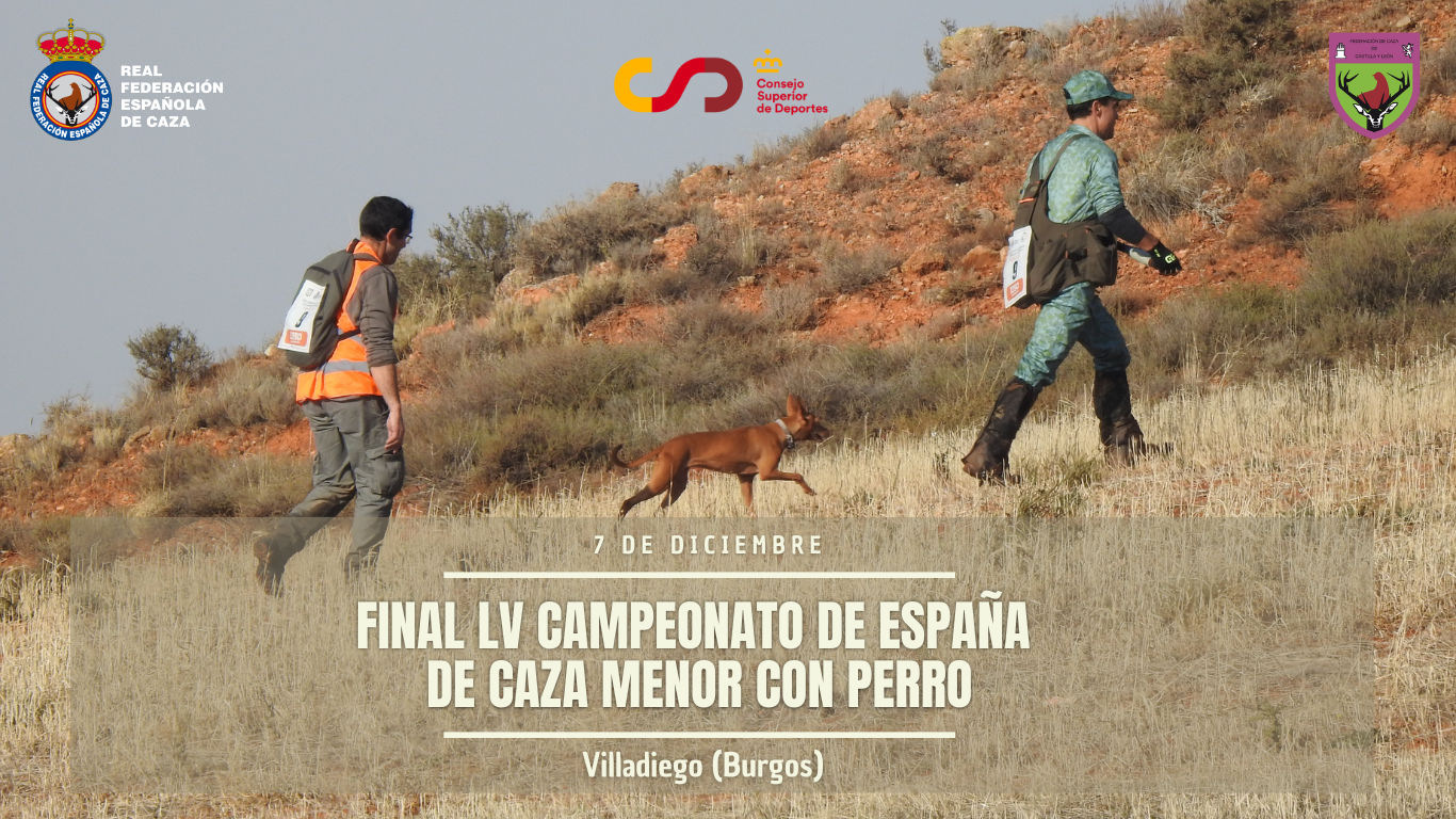 El coto burgalés de Villadiego albergará la final del Campeonato de España de Caza Menor con Perro de 2024