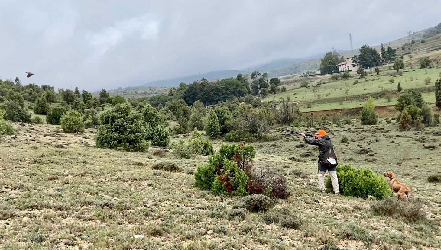 Campeonato de España de San Huberto 2024