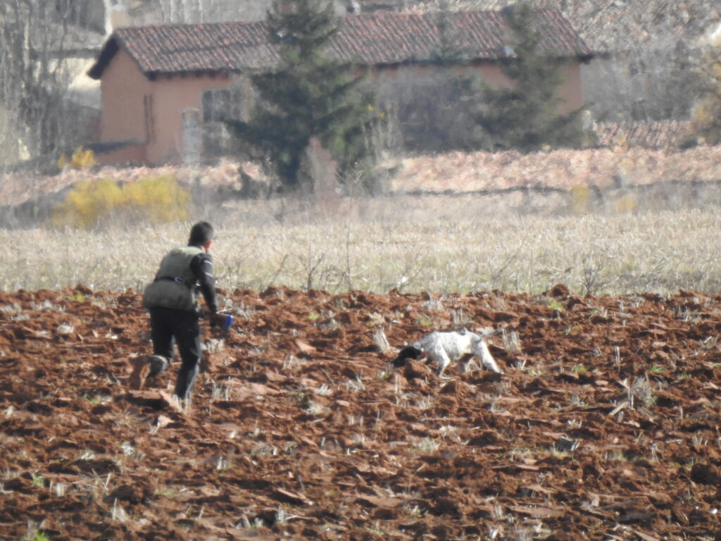 El campeón Ricardo Ramos cazando