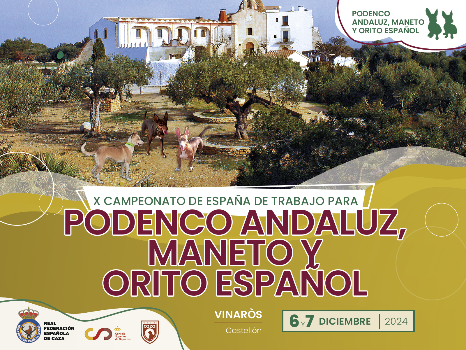 Estos son los 45 participantes que disputarán el X Campeonato de España de Podenco Andaluz, Maneto y Orito Español