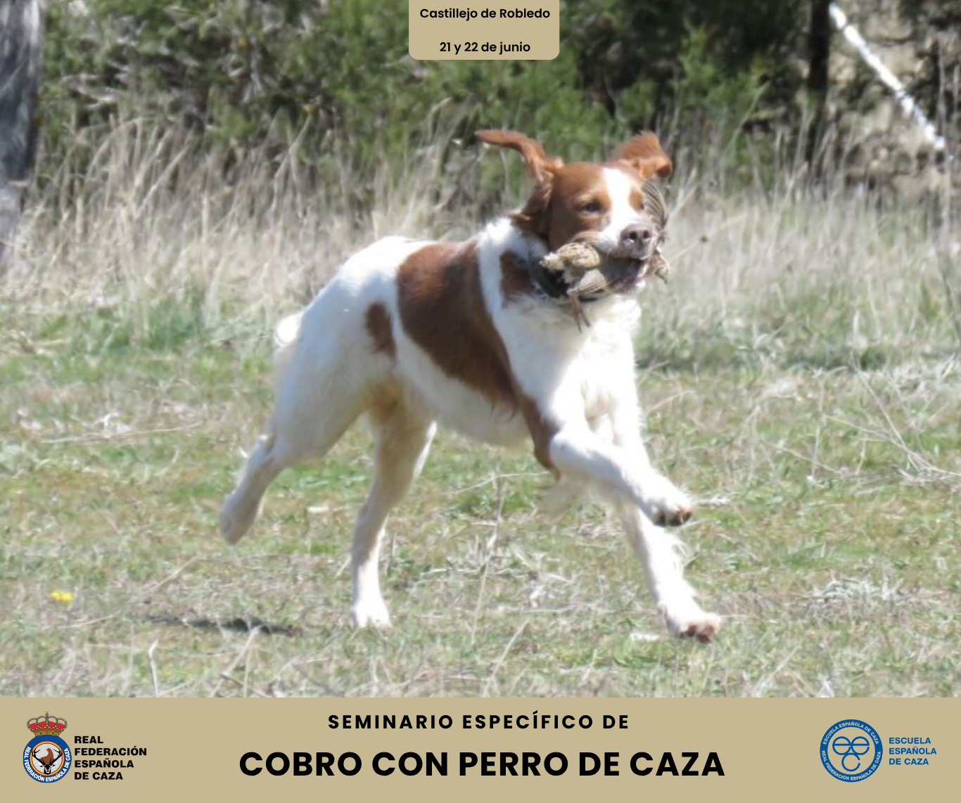Curso de cobro con perro de caza
