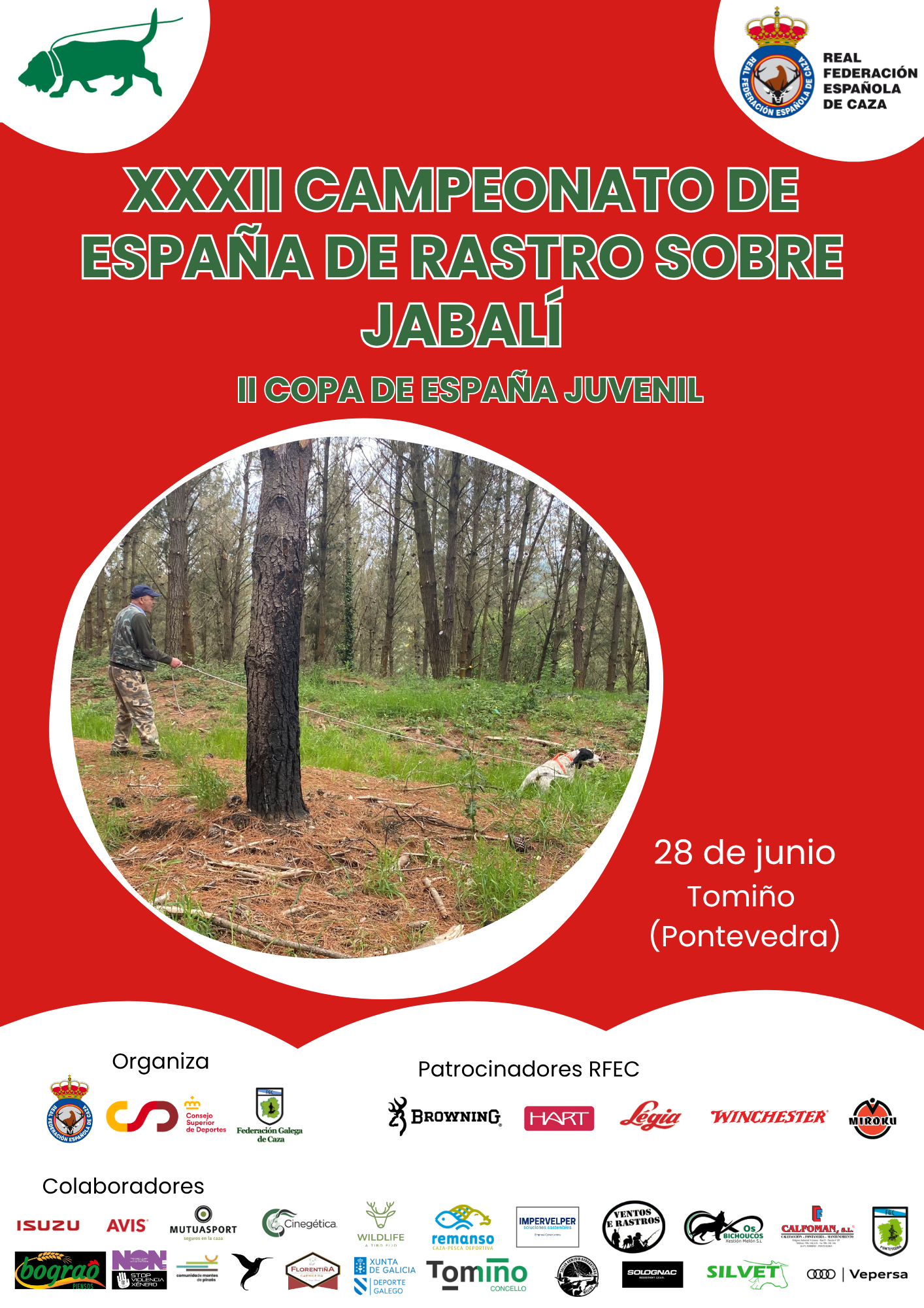 Tomiño recibe a los mejores perros de rastro sobre jabalí