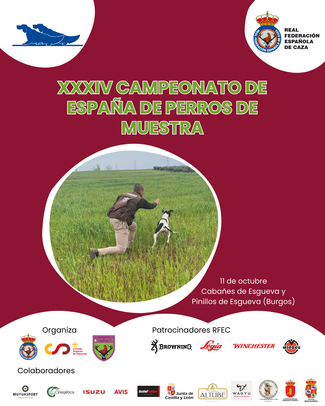 Burgos acogerá el XXXIV Campeonato de España de Perros de Muestra y la I Copa de España Spaniels Levantadores Abierta