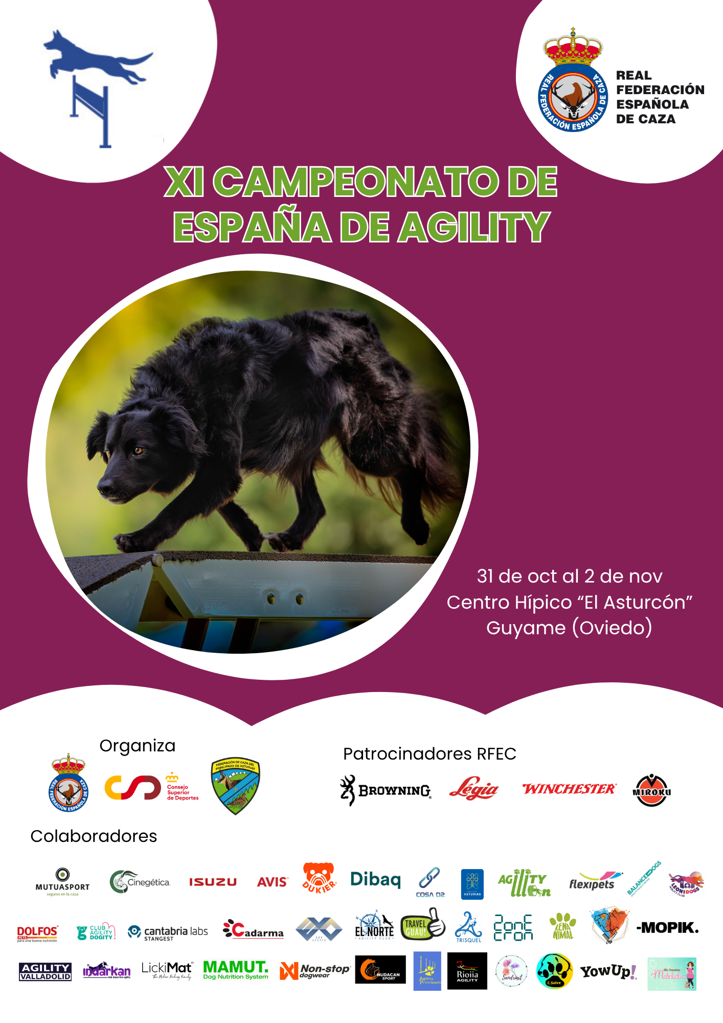 Más de 600 perros se disputarán en Oviedo el XI Campeonato de España de Agility