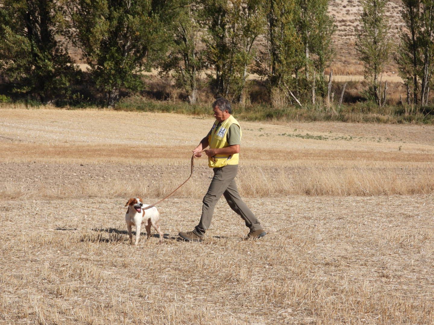 El braco alemán “Mou” y el setter inglés “Zafir de Piago” son los mejores perros de muestra de 2025