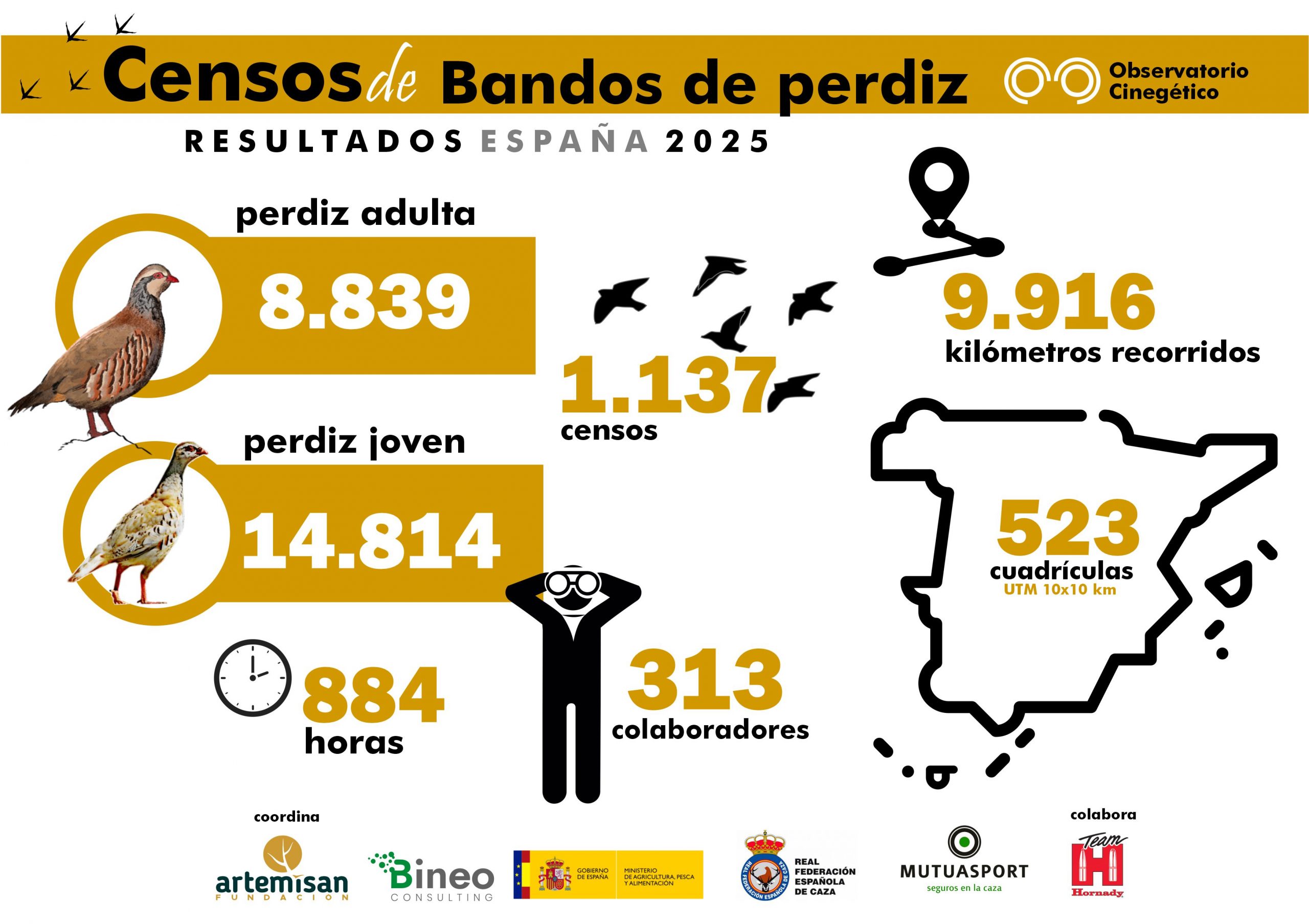 Los cazadores vuelven a batir récord y superan los 1.100 censos de bandos de perdiz con el Observatorio Cinegético