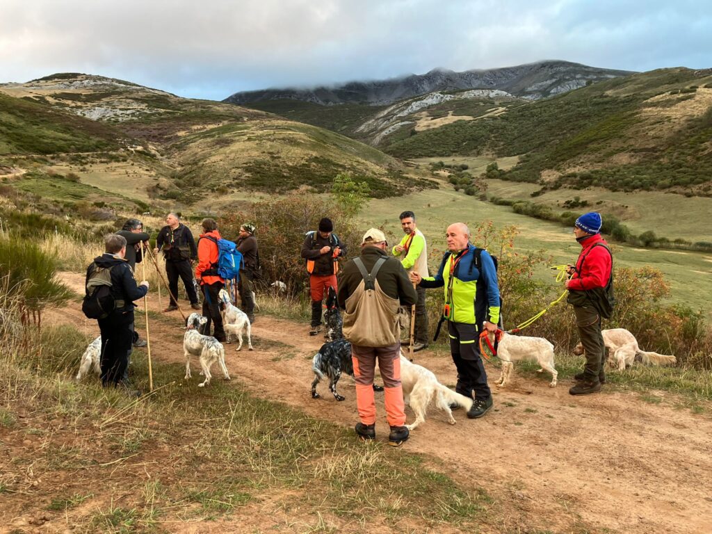 II CE Perros de Muestra en Montaña