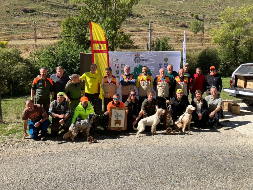 Campeones de España 2025 de perros de muestra en montaña