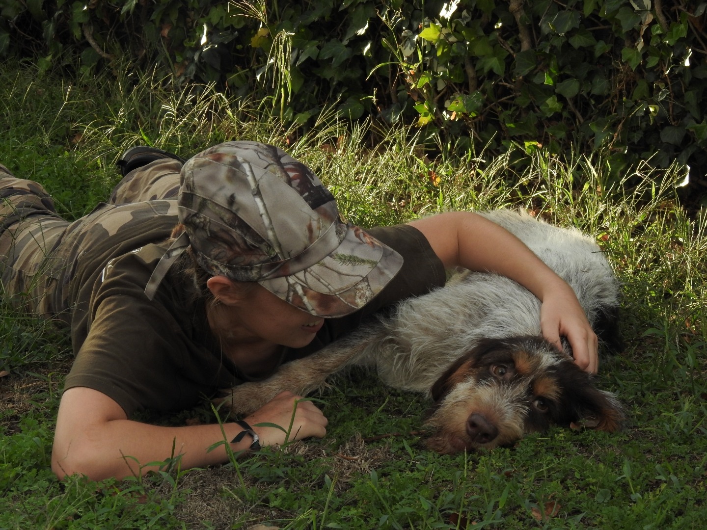 Los cazadores exigen rigor a partidos políticos y medios de comunicación tras el informe del Gobierno que desmonta la mentira del abandono masivo de perros de caza