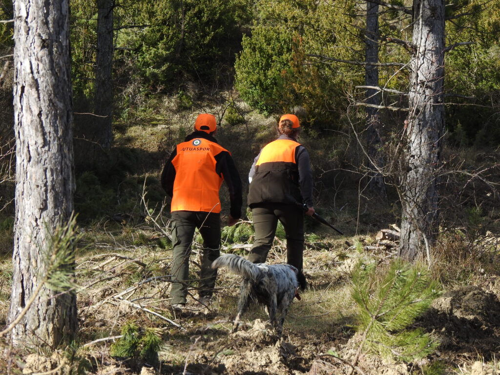 Campeonato de España de Caza de Becadas