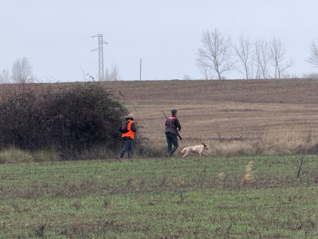 56 Campeonato de España de Caza Menor con Perro