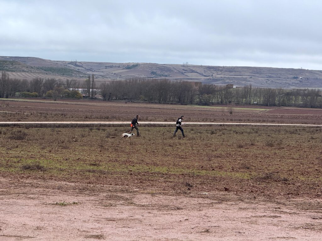 Participante y juez del LVI Campeonato de España de Caza Menor con Perro