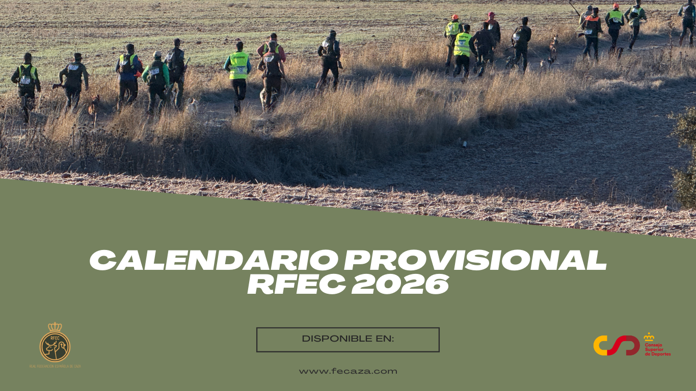 La RFEC publica el calendario provisional de competiciones para 2026