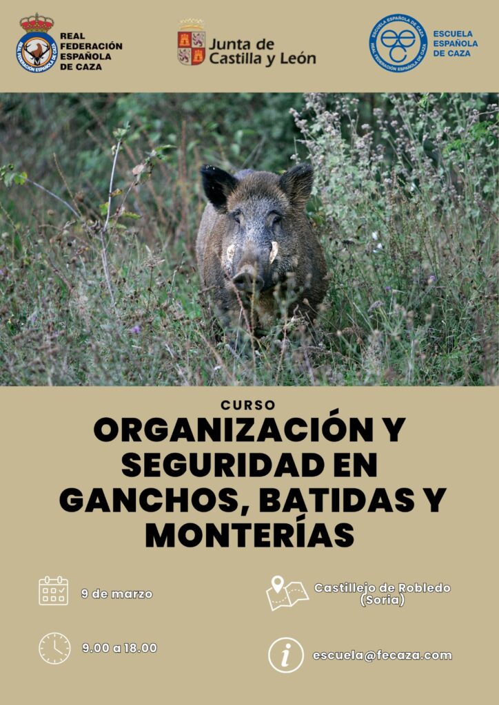 CARTEL CURSO SEGURIDAD MONTERIAS 2026