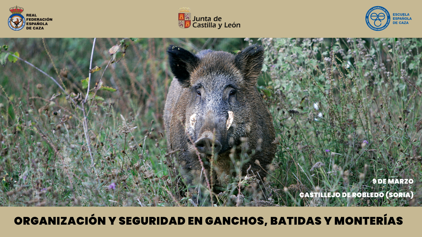 La Junta de Castilla y León promueve y organiza junto a la Escuela Española de Caza en Soria un curso gratuito sobre organización y seguridad en monterías