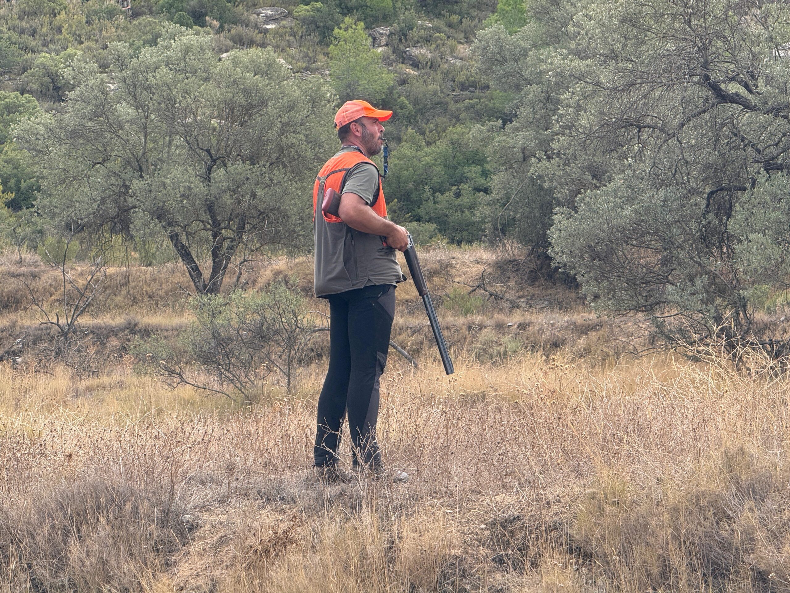 La RFEC solicita una simplificación administrativa y herramientas para el control poblacional en la modificación del reglamento de armas