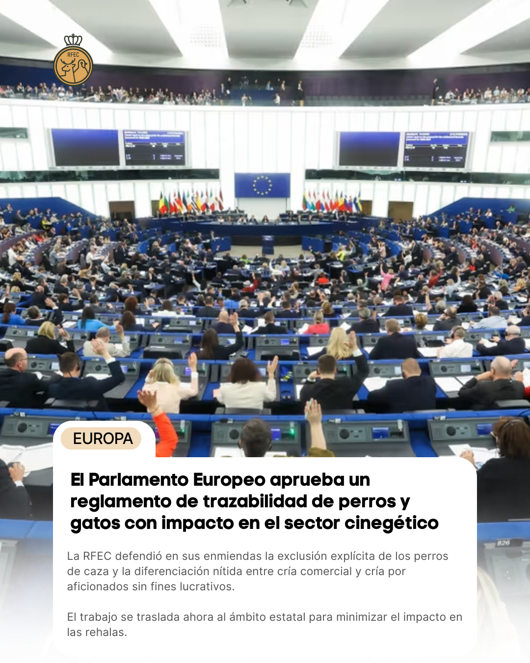 El Parlamento Europeo aprueba un reglamento de trazabilidad de perros y gatos con impacto en el sector cinegético