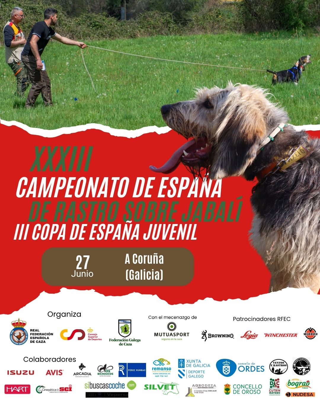 A Coruña acogerá el 27 de junio el XXXIII Campeonato de España de Rastro sobre Jabalí