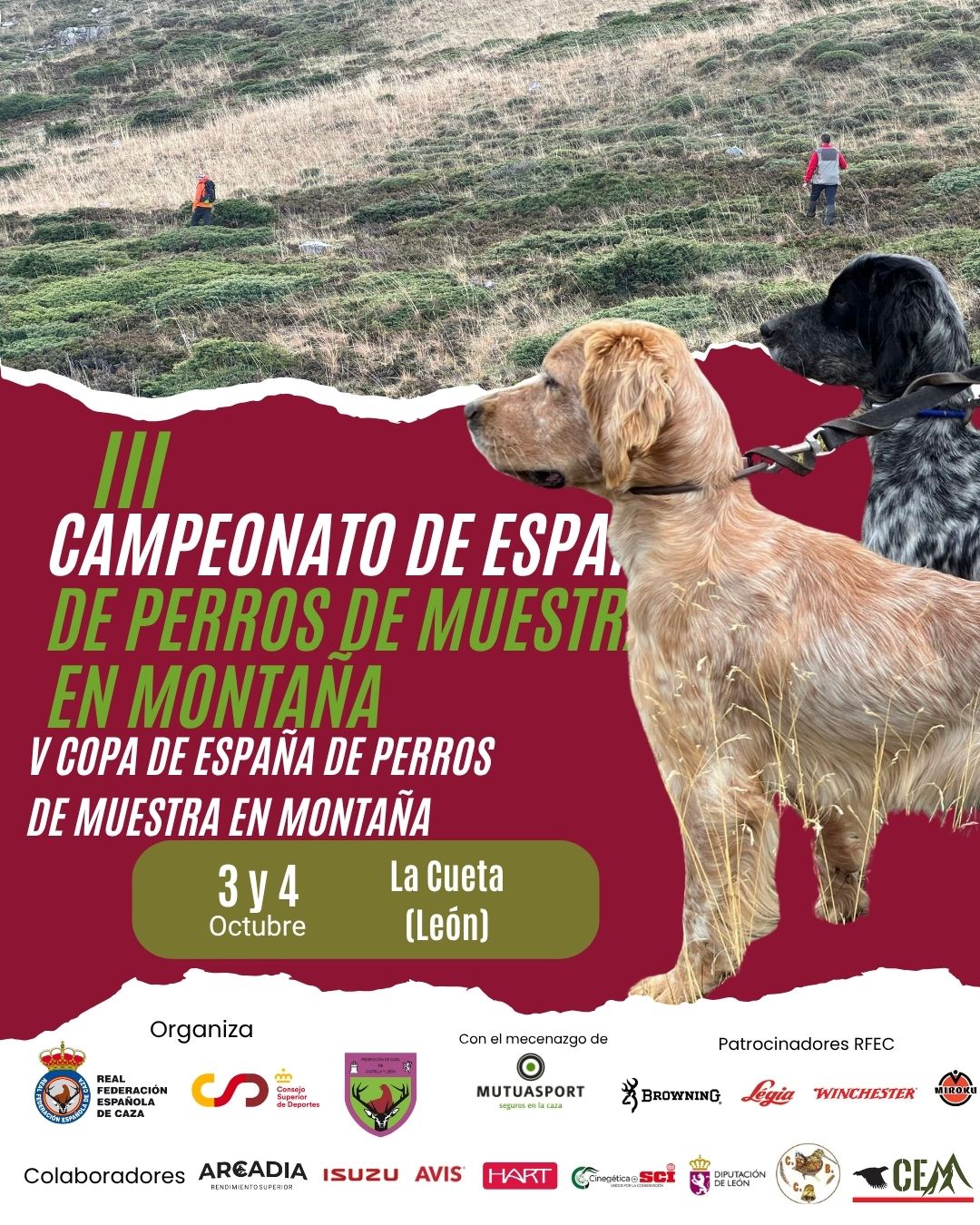 La Cueta volverá a reunir a los mejores perros de muestra en montaña de España