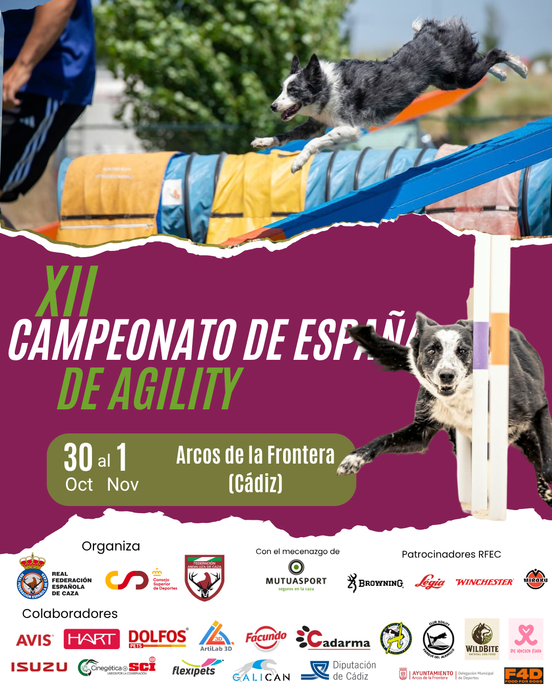 Cerca de 600 perros se darán cita en Arcos de la Frontera en el XII Campeonato de España de Agility